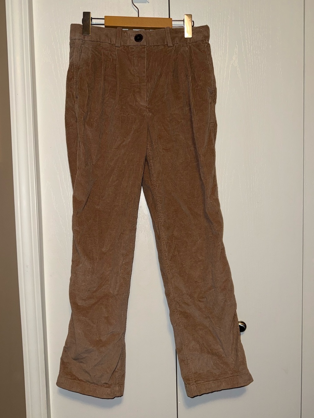 The Babaton Group Pleated Corduroy Pant
